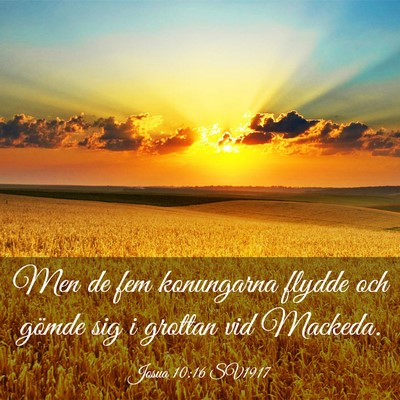 Picture 03 - Josua 10:16 SV1917 - Men de fem konungarna flydde och gömde sig i - Bible Verse Picture