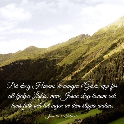 Picture 03 - Josua 10:33 SV1917 - Då drog Horam, konungen i Geser, upp för att - Bible Verse Picture