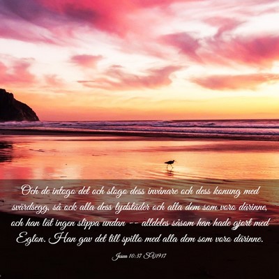 Picture 03 - Josua 10:37 SV1917 - Och de intogo det och slogo dess invånare och - Bible Verse Picture