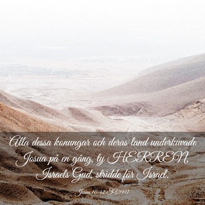 Picture 03 - Josua 10:42 SV1917 - Alla dessa konungar och deras land underkuvade - Bible Verse Picture