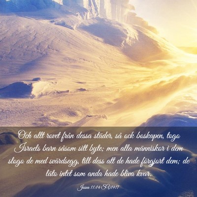 Picture 03 - Josua 11:14 SV1917 - Och allt rovet från dessa städer, så ock - Bible Verse Picture