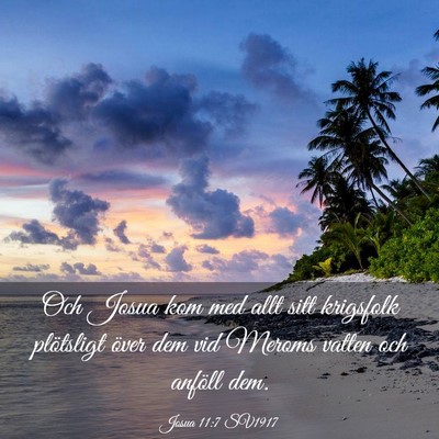 Picture 03 - Josua 11:7 SV1917 - Och Josua kom med allt sitt krigsfolk plötsligt - Bible Verse Picture