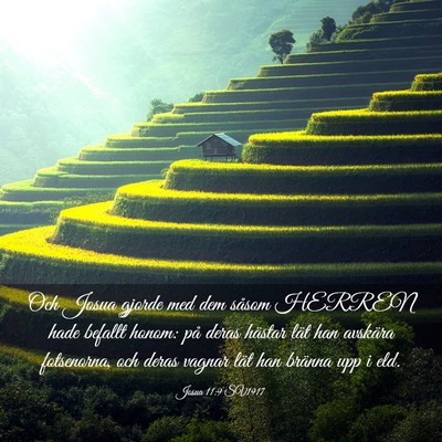 Picture 03 - Josua 11:9 SV1917 - Och Josua gjorde med dem såsom HERREN hade - Bible Verse Picture