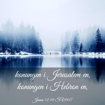 Picture 03 - Josua 12:10 SV1917 - konungen i Jerusalem en, konungen i Hebron - Bible Verse Picture