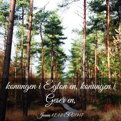 Picture 03 - Josua 12:12 SV1917 - konungen i Eglon en, konungen i Geser - Bible Verse Picture