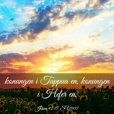 Picture 03 - Josua 12:17 SV1917 - konungen i Tappua en, konungen i Hefer - Bible Verse Picture