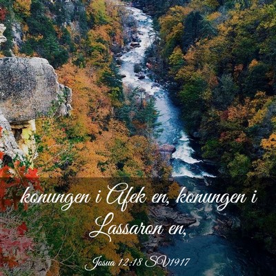 Picture 03 - Josua 12:18 SV1917 - konungen i Afek en, konungen i Lassaron - Bible Verse Picture