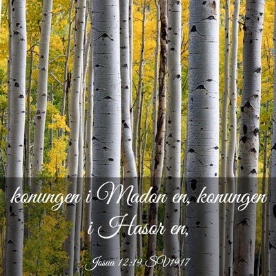 Picture 03 - Josua 12:19 SV1917 - konungen i Madon en, konungen i Hasor - Bible Verse Picture