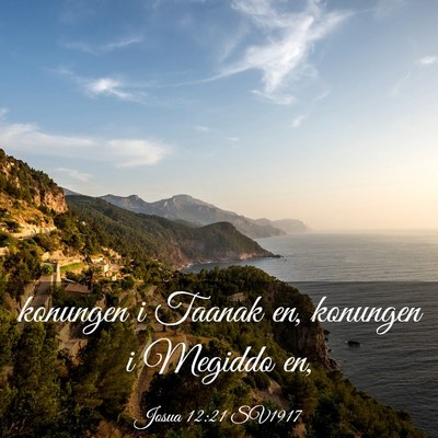 Picture 03 - Josua 12:21 SV1917 - konungen i Taanak en, konungen i Megiddo - Bible Verse Picture