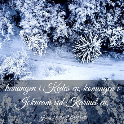 Picture 03 - Josua 12:22 SV1917 - konungen i Kedes en, konungen i Jokneam vid - Bible Verse Picture