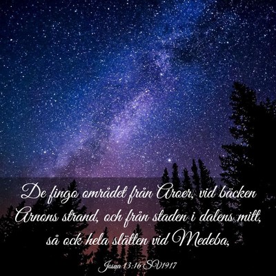 Picture 03 - Josua 13:16 SV1917 - De fingo området från Aroer, vid bäcken Arnons - Bible Verse Picture