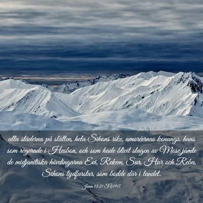 Picture 03 - Josua 13:21 SV1917 - alla städerna på slätten, hela Sihons rike, - Bible Verse Picture