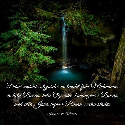 Picture 03 - Josua 13:30 SV1917 - Deras område utgjordes av landet från Mahanaim, - Bible Verse Picture