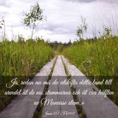 Picture 03 - Josua 13:7 SV1917 - Ja, redan nu må du utskifta detta land till - Bible Verse Picture