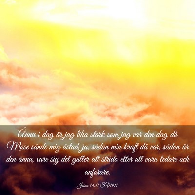 Picture 03 - Josua 14:11 SV1917 - Ännu i dag är jag lika stark som jag var den - Bible Verse Picture