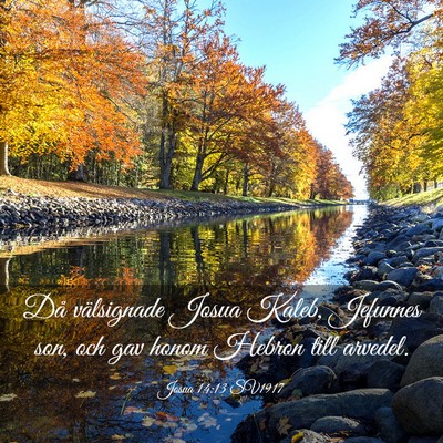 Picture 03 - Josua 14:13 SV1917 - Då välsignade Josua Kaleb, Jefunnes son, och - Bible Verse Picture
