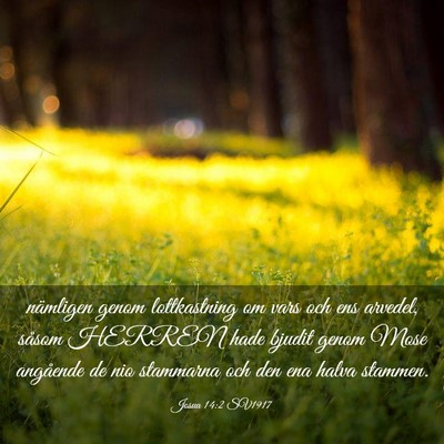 Picture 03 - Josua 14:2 SV1917 - nämligen genom lottkastning om vars och ens - Bible Verse Picture