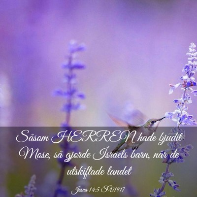 Picture 03 - Josua 14:5 SV1917 - Såsom HERREN hade bjudit Mose, så gjorde - Bible Verse Picture