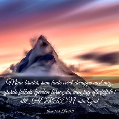 Picture 03 - Josua 14:8 SV1917 - Mina bröder, som hade varit däruppe med mig, - Bible Verse Picture