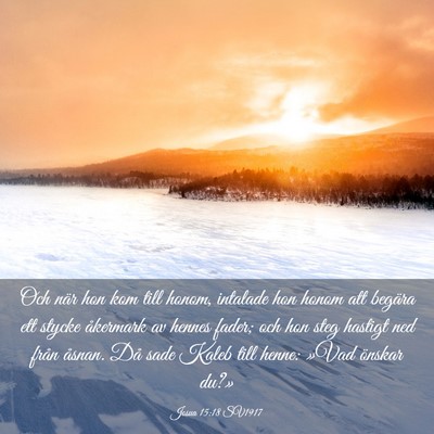 Picture 03 - Josua 15:18 SV1917 - Och när hon kom till honom, intalade hon honom - Bible Verse Picture
