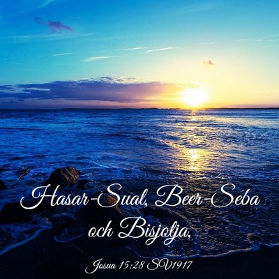 Picture 03 - Josua 15:28 SV1917 - Hasar-Sual, Beer-Seba och - Bible Verse Picture