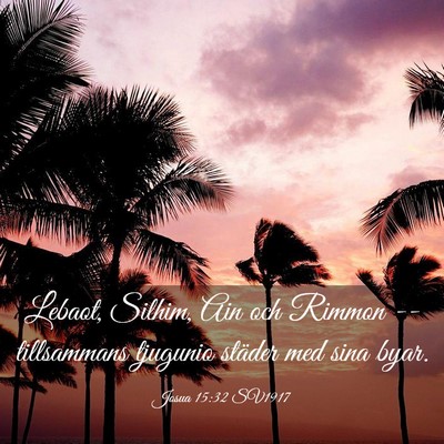 Picture 03 - Josua 15:32 SV1917 - Lebaot, Silhim, Ain och Rimmon -- tillsammans - Bible Verse Picture