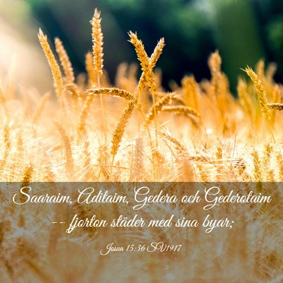 Picture 03 - Josua 15:36 SV1917 - Saaraim, Aditaim, Gedera och Gederotaim -- - Bible Verse Picture
