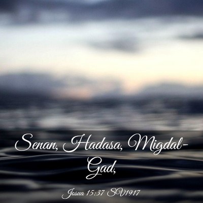 Picture 03 - Josua 15:37 SV1917 - Senan, Hadasa, - Bible Verse Picture
