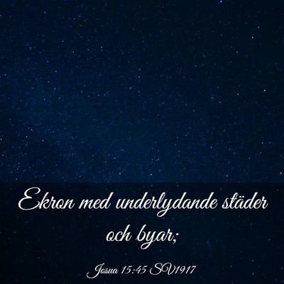 Picture 03 - Josua 15:45 SV1917 - Ekron med underlydande städer och - Bible Verse Picture