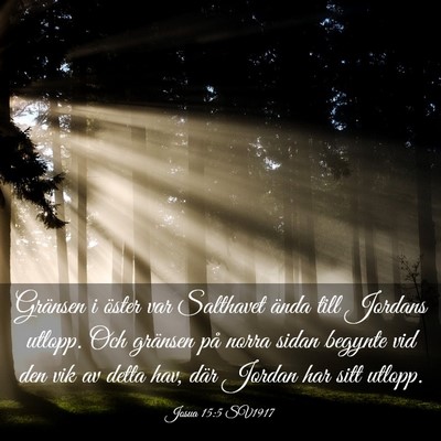 Picture 03 - Josua 15:5 SV1917 - Gränsen i öster var Salthavet ända till - Bible Verse Picture