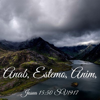 Picture 03 - Josua 15:50 SV1917 - Anab, Estemo, - Bible Verse Picture