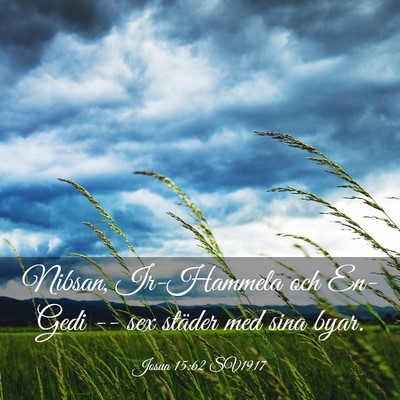Picture 03 - Josua 15:62 SV1917 - Nibsan, Ir-Hammela och En-Gedi -- sex städer med - Bible Verse Picture