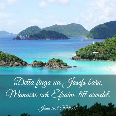 Picture 03 - Josua 16:4 SV1917 - Detta fingo nu Josefs barn, Manasse och Efraim, - Bible Verse Picture