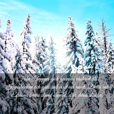 Picture 03 - Josua 16:8 SV1917 - Från Tappua gick gränsen västerut till - Bible Verse Picture