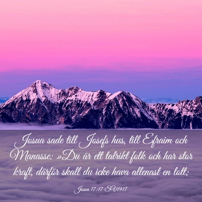 Picture 03 - Josua 17:17 SV1917 - Josua sade till Josefs hus, till Efraim och - Bible Verse Picture