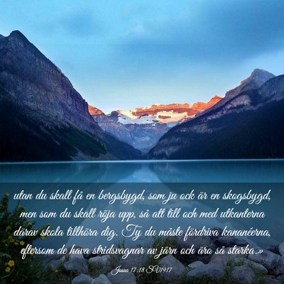 Picture 03 - Josua 17:18 SV1917 - utan du skall få en bergsbygd, som ju ock är en - Bible Verse Picture