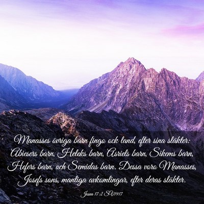 Picture 03 - Josua 17:2 SV1917 - Manasses övriga barn fingo ock land, efter sina - Bible Verse Picture