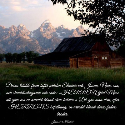 Picture 03 - Josua 17:4 SV1917 - Dessa trädde fram inför prästen Eleasar och - Bible Verse Picture