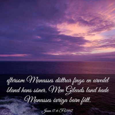 Picture 03 - Josua 17:6 SV1917 - eftersom Manasses döttrar fingo en arvedel bland - Bible Verse Picture