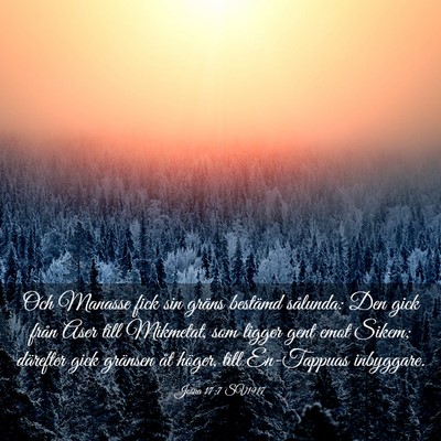 Picture 03 - Josua 17:7 SV1917 - Och Manasse fick sin gräns bestämd sålunda: - Bible Verse Picture
