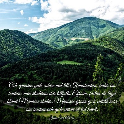 Picture 03 - Josua 17:9 SV1917 - Och gränsen gick vidare ned till Kanabäcken, - Bible Verse Picture