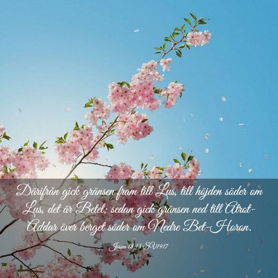 Picture 03 - Josua 18:13 SV1917 - Därifrån gick gränsen fram till Lus, till - Bible Verse Picture