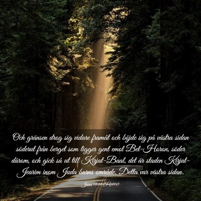 Picture 03 - Josua 18:14 SV1917 - Och gränsen drog sig vidare framåt och böjde - Bible Verse Picture