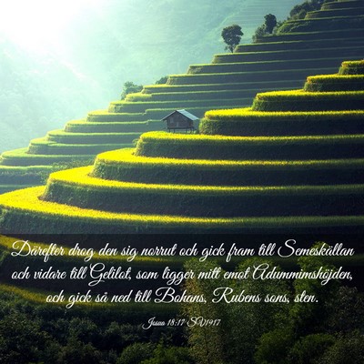 Picture 03 - Josua 18:17 SV1917 - Därefter drog den sig norrut och gick fram till - Bible Verse Picture