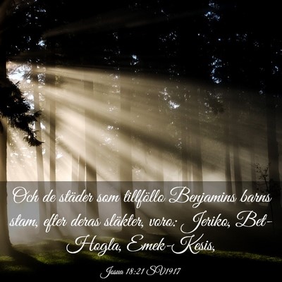 Picture 03 - Josua 18:21 SV1917 - Och de städer som tillföllo Benjamins barns - Bible Verse Picture