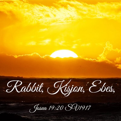 Picture 03 - Josua 19:20 SV1917 - Rabbit, Kisjon, - Bible Verse Picture