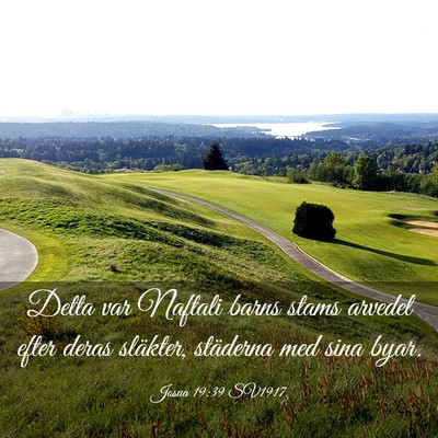 Picture 03 - Josua 19:39 SV1917 - Detta var Naftali barns stams arvedel efter deras - Bible Verse Picture