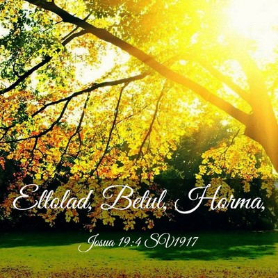 Picture 03 - Josua 19:4 SV1917 - Eltolad, Betul, - Bible Verse Picture