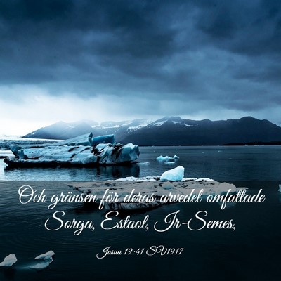 Picture 03 - Josua 19:41 SV1917 - Och gränsen för deras arvedel omfattade Sorga, - Bible Verse Picture