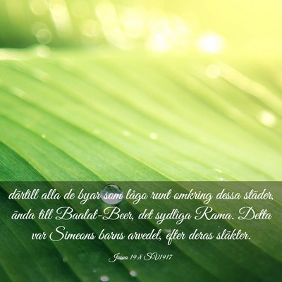 Picture 03 - Josua 19:8 SV1917 - därtill alla de byar som lågo runt omkring - Bible Verse Picture
